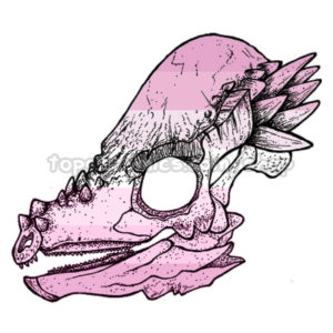 LGBT+ Pachycephalosaurus Sticker