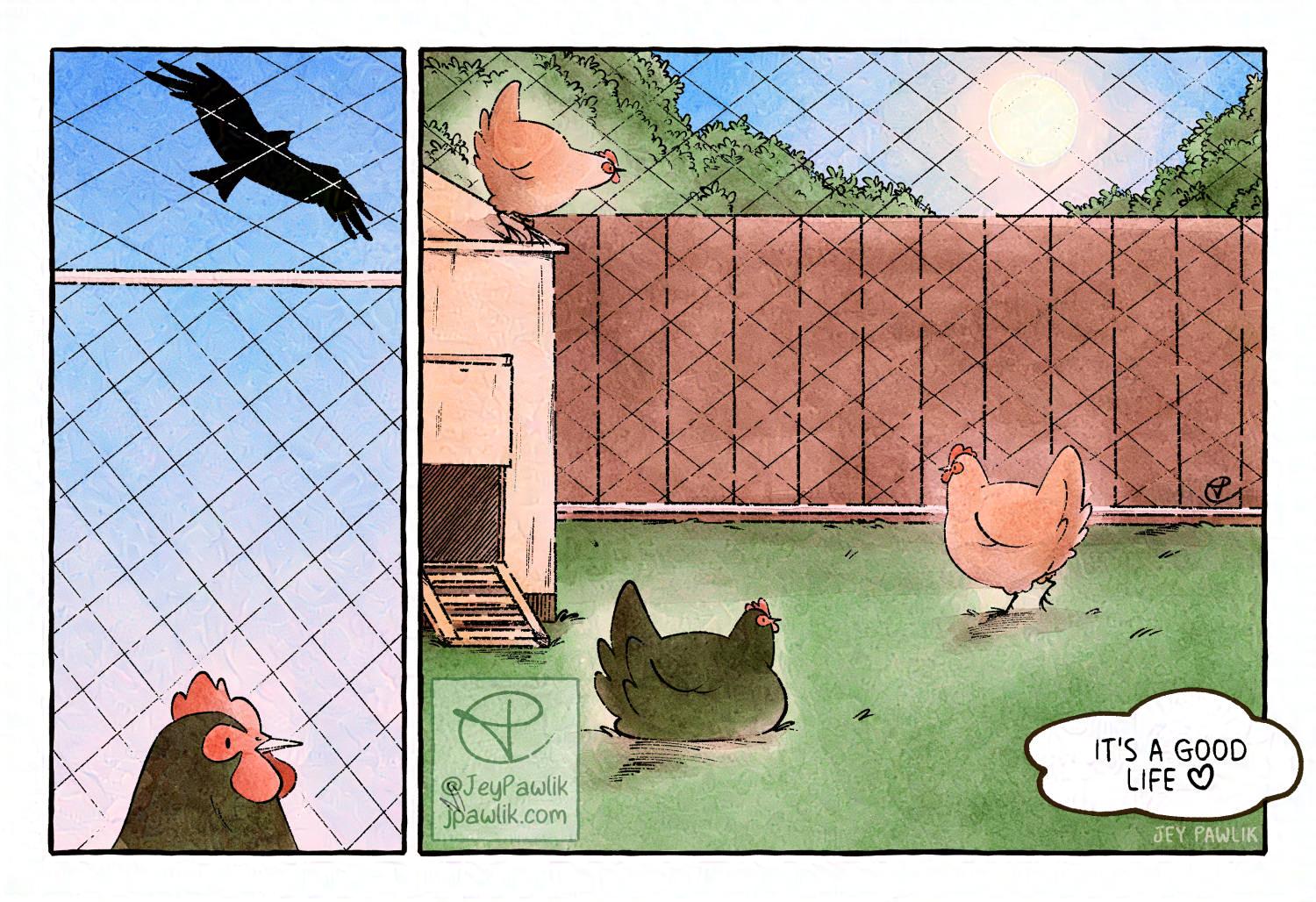 Comic page done in a watercolour style. A chicken within the safety of it's fence is oblivious to a bird of prey flying above. Four chickens go about their day. Text reads "It's a good life" with a hand drawn heart beside that.